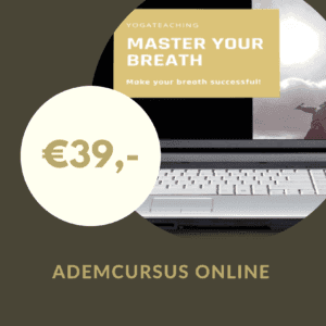 Ademcursus online