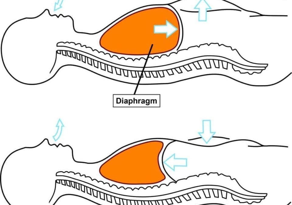 Hoe Jouw Ademhaling kan Helpen bij Slaapapneu