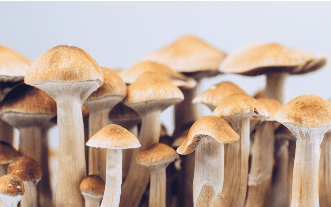 Verbonden Ademen: Een Natuurlijk Alternatief voor Psychedelica?