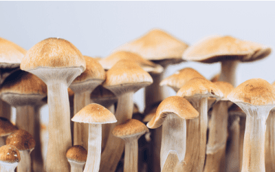 Verbonden Ademen: Een Natuurlijk Alternatief voor Psychedelica?